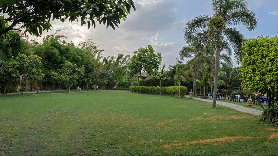 Outdoor Lawn